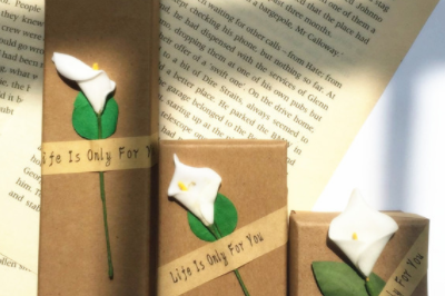 Kraft gift boxes 400