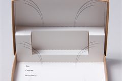 Custom box insert (22)